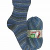 Opal Schafpate VIII 9205 Bivouac (Nachtlager) Sock / Glove Knitting Yarn