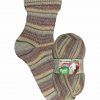 Opal Schafpate VIII 9207 Forest Hike (Waldwanderung) 4-ply sock / glove knitting yarn