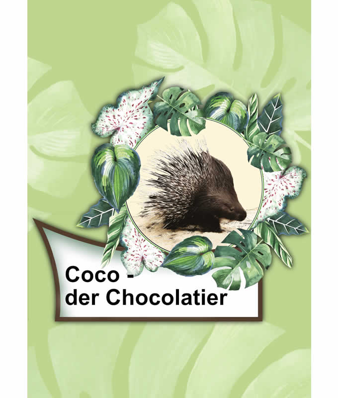 Opal Rainforest 14 XIV 9621 Coco der Chocolatier 4-ply sock / glove knitting yarn