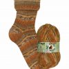 Opal Rainforest 14 XIV 9624 Georg der Grillmeister (the grill master) 4-ply sock / glove knitting yarn