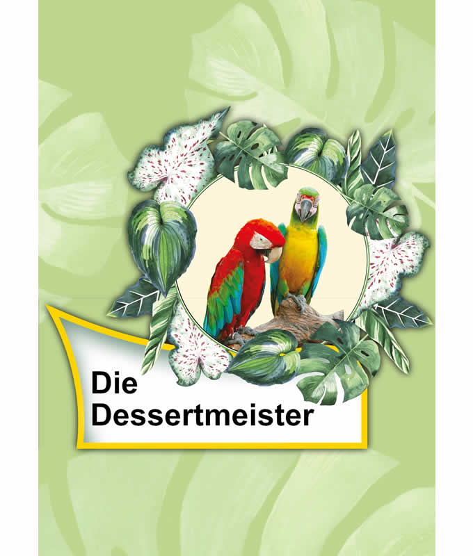 Opal Rainforest 14 XIV 9626 Die Dessertmeister (the dessert master) 4-ply sock / glove knitting yarn
