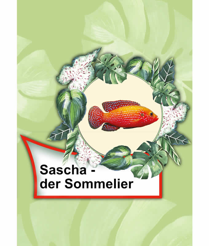 Opal Rainforest 14 XIV 9627 Sascha der Sommelier 4-ply sock / glove knitting yarn - Image 2