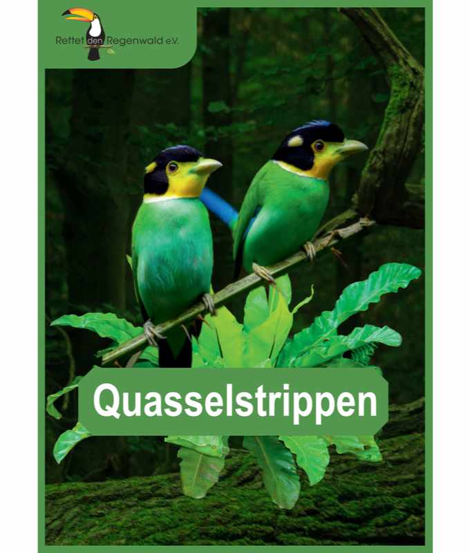 Opal Rainforest 16 XVI 9901 Quasselstrippen (The Chatterboxes) 4-ply sock / glove knitting yarn