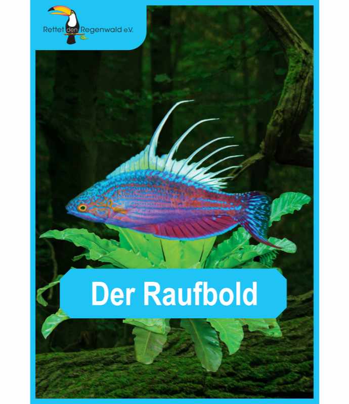 Opal Rainforest 16 XVI 9902 Der Raufbold (The Brawler) 4-ply sock / glove knitting yarn