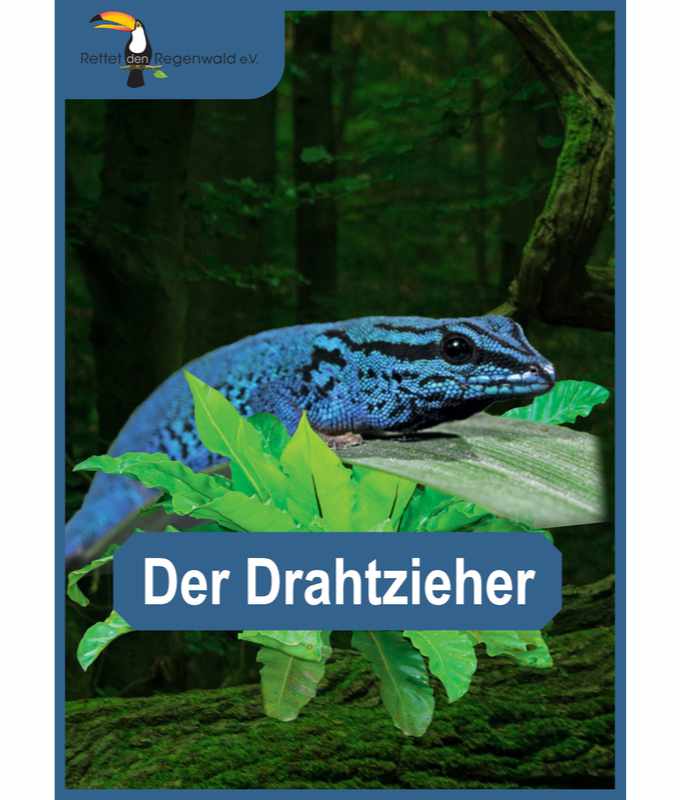 Opal Rainforest 16 XVI 9903 Der Drahtzieher (The Mastermind) 4-ply sock / glove knitting yarn