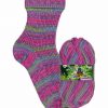 Opal Rainforest 16 XVI 9905 Die Diva (The Diva) 4-ply sock / glove knitting yarn