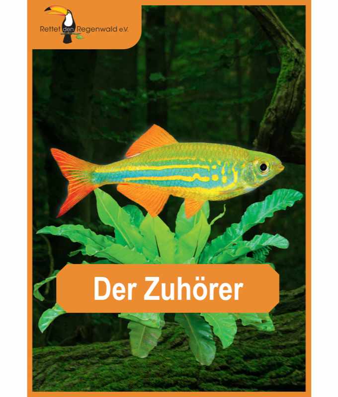 Opal Rainforest 16 XVI 9907 Der Zuhörer (The Listener) 4-ply sock / glove knitting yarn