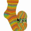 Opal Rainforest 16 XVI 9907 Der Zuhörer (The Listener) 4-ply sock / glove knitting yarn